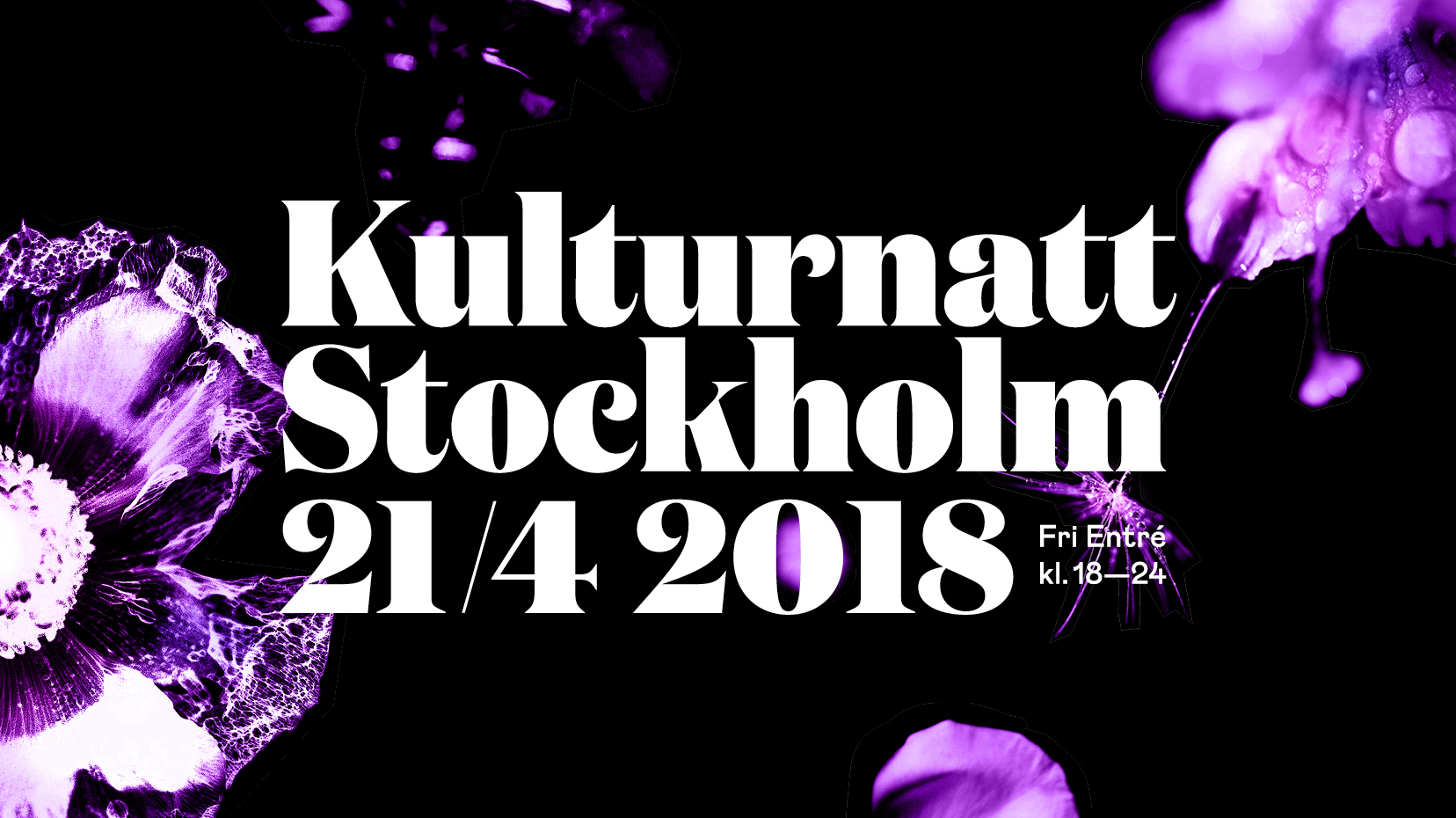 kulturnatten på LOD - Erik Tidäng